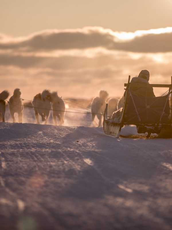 A dog sled heading into the sunset near Sisimiut in Greenland