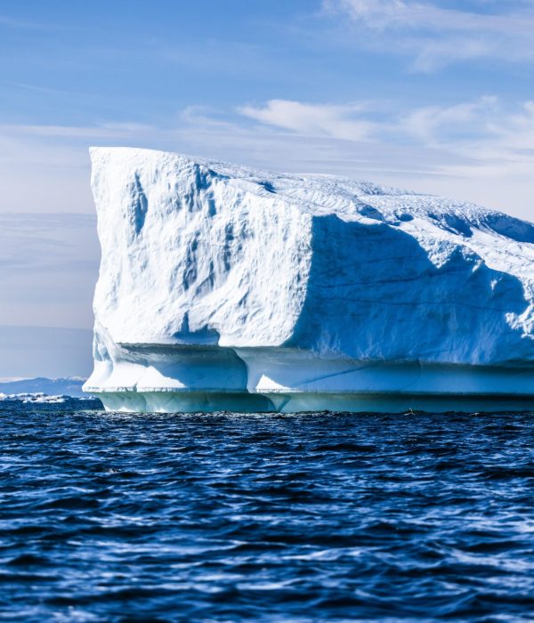 Iceberg in the fiord