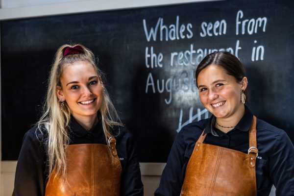 Restaurant Icefiord waiters